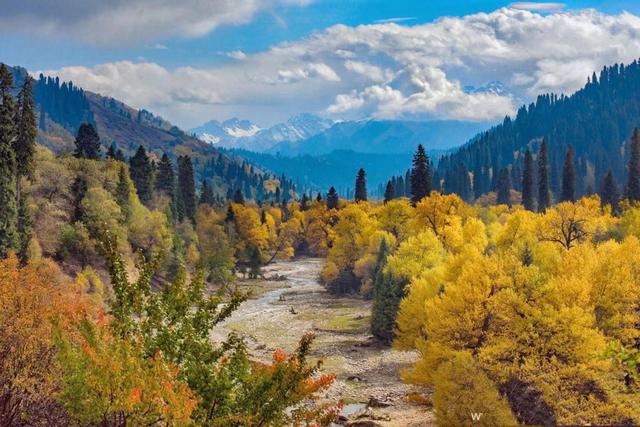 第一次去新疆玩南疆还是北疆合适,去南疆还是南北疆一起去