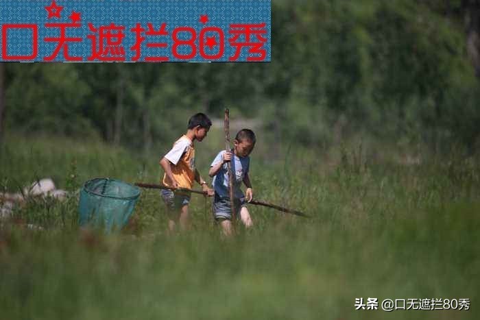 80后90后的昆虫和虫子童年回忆,80后的昆虫带来的快乐