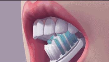 牙膏是贵的好还是便宜的好,牙膏是贵的好还是便宜一点的好