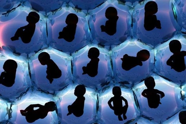 别把失业的锅甩给AI，失去创造力才是你被裁员的原因