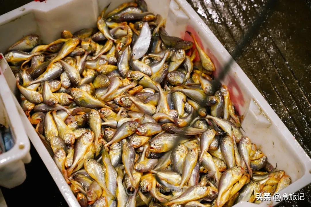 全国十大水产批发市场,全国最大的海鲜水产批发市场