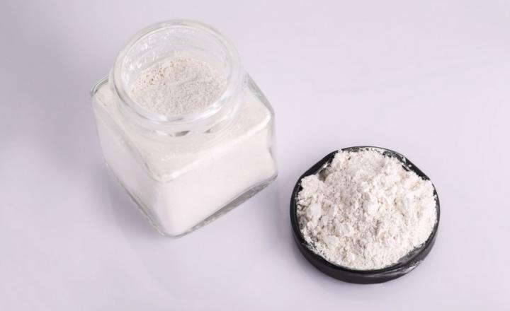 怎么改掉母泰迪做流氓动作,泰迪耍流氓的原因分析