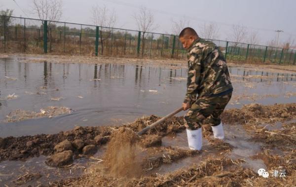大锅饭合作社,小岗村大包干后的变化