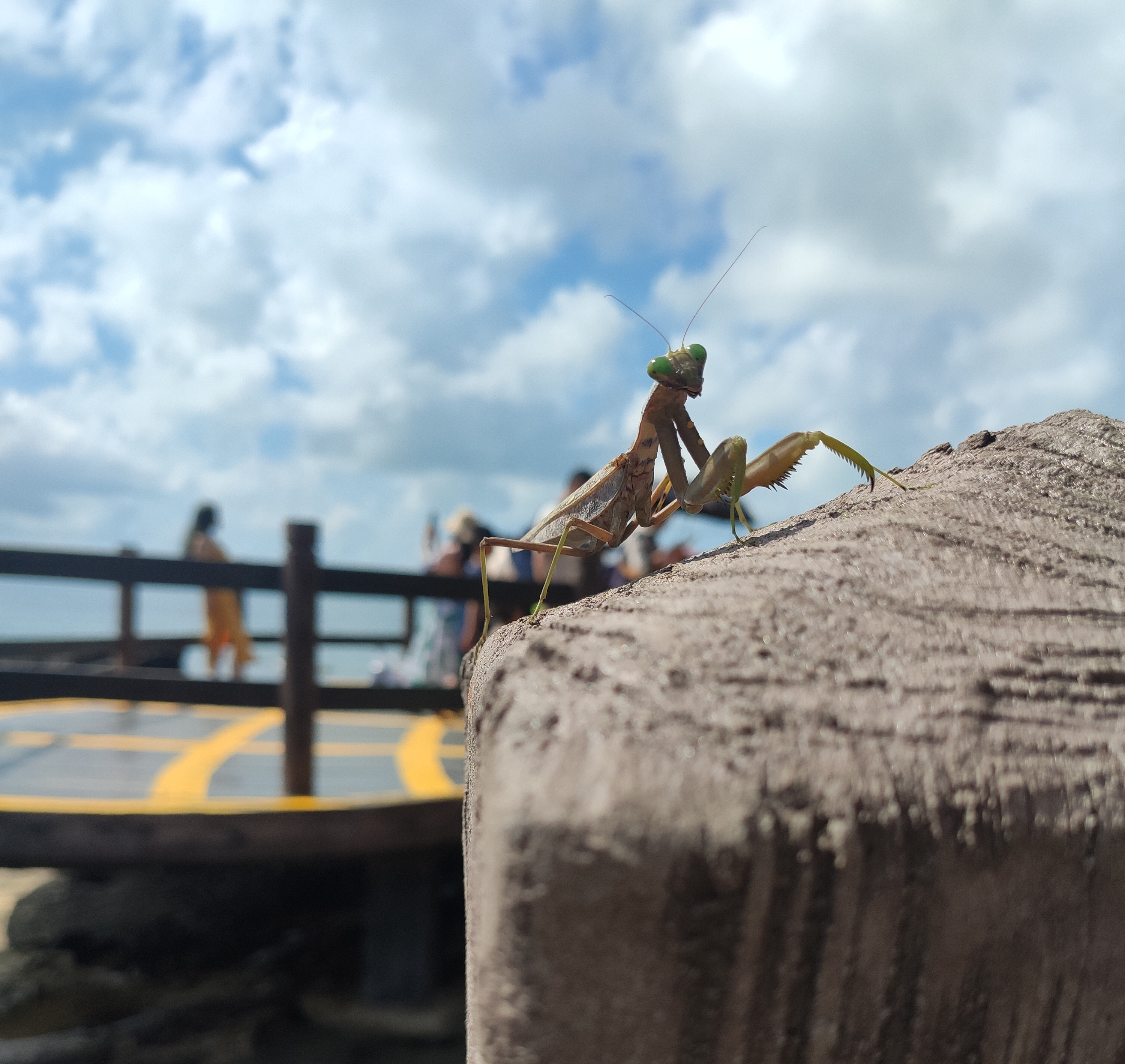 涠洲岛独立用车一日游,涠洲岛小电车游玩攻略