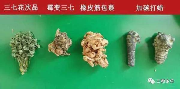 中医养生不得不说的误区：三七粉真的适合您吗？