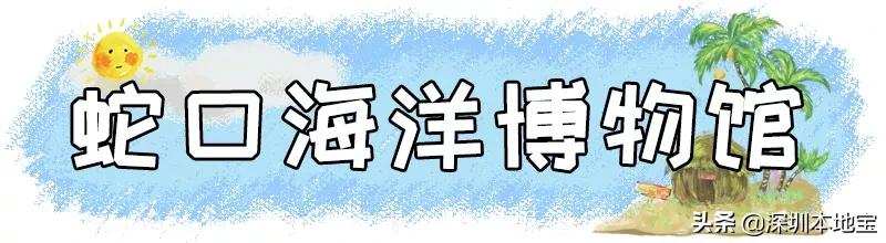 深圳有哪些地方免费景点,深圳都有什么景点免费游玩