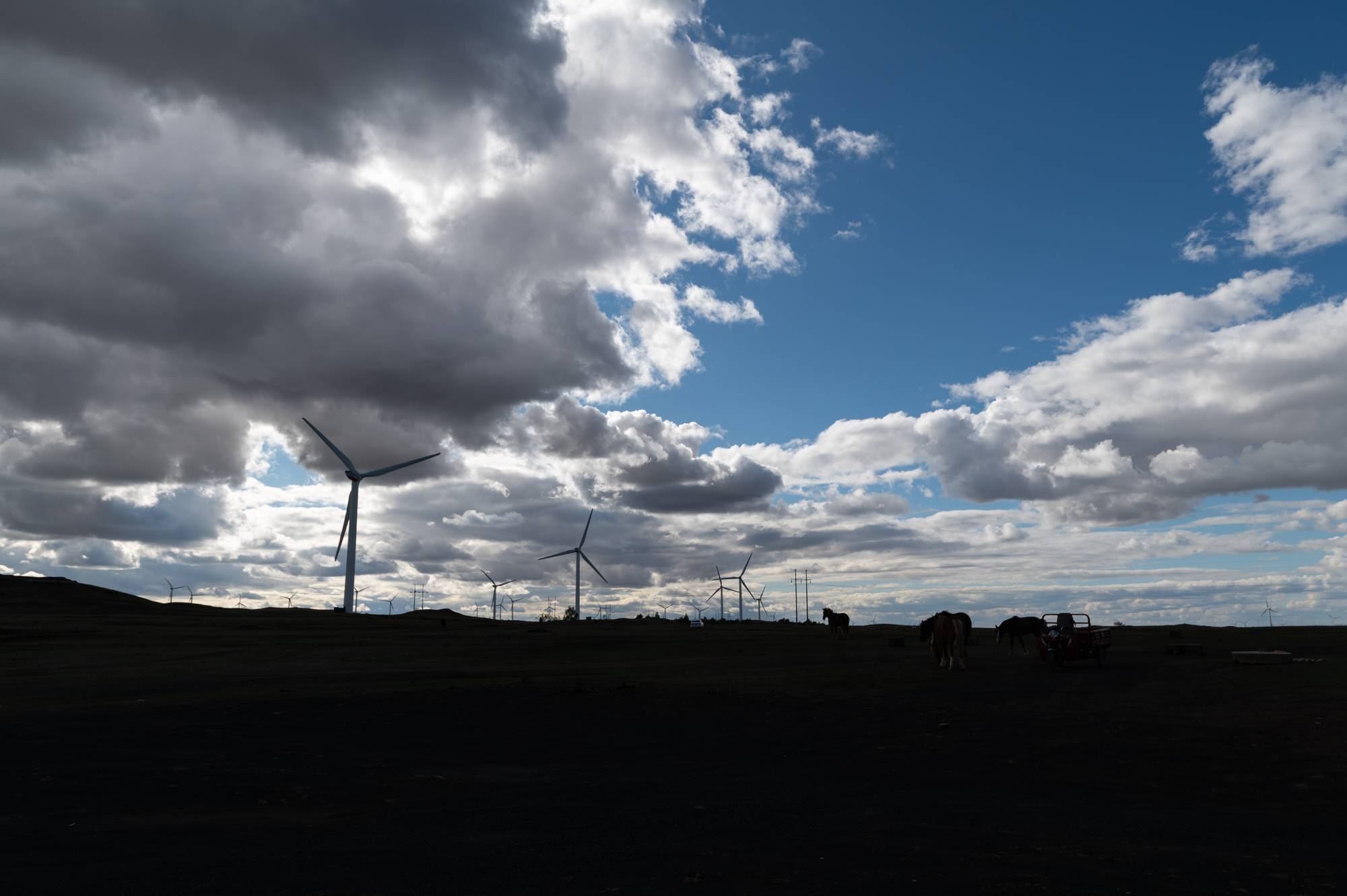 尼康d780相机操作的视频,尼康d780怎样拍延时视频