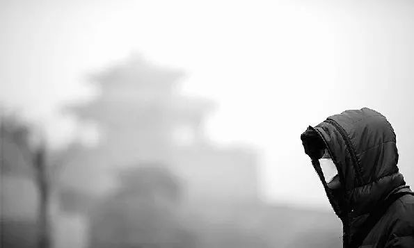 海尔除甲醛净化器测评排名,净化器测评性价比