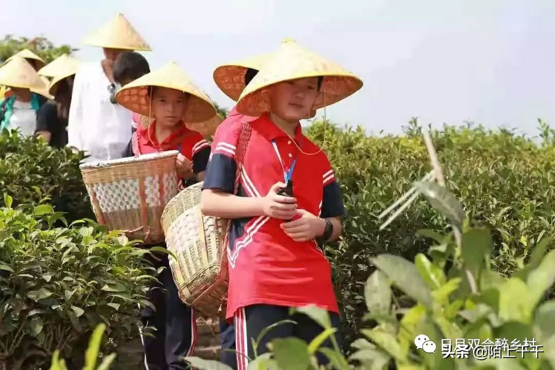 鹤山网红打卡地景点,鹤山网红打卡地