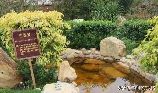 博罗怡情谷温泉度假村值得去吗,博罗怡情谷温泉门票多少钱