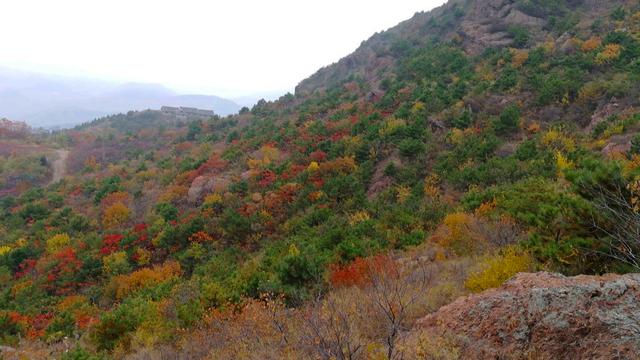 迁安的景点溶洞有哪些,长寿附近的天然溶洞