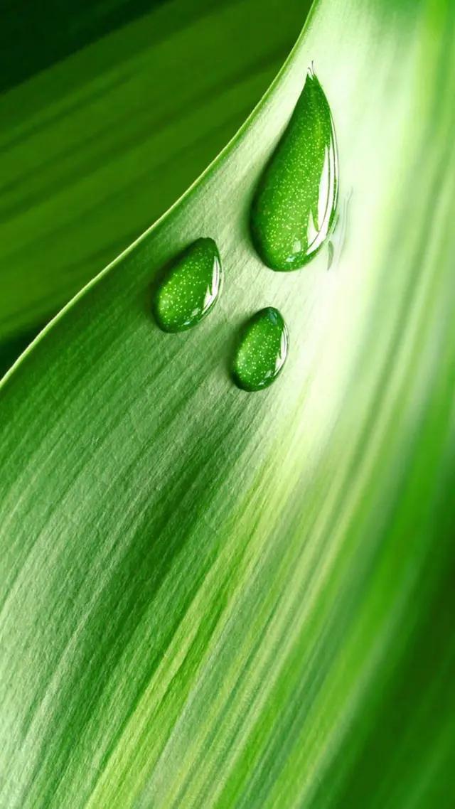 白岩松经典语录感悟人生哲理 (白岩松经典语录集锦好的变成坏的)