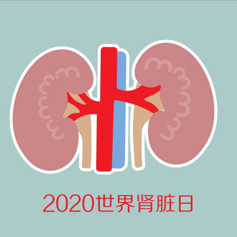 世界肾脏日肾脏健康关乎你我,世界肾脏日科普小知识