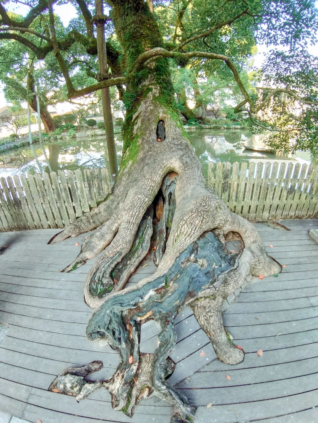 绱㈠凹xperia1鍦ㄦ棩鏈殑鍞环,绱㈠凹xperia1鏃ユ湰