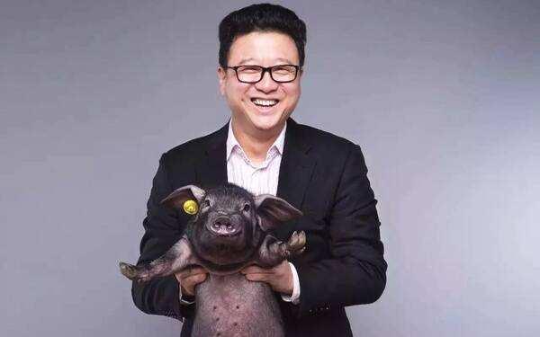 做游戏不如养猪？网易将建设第四座养猪厂，一斤价格上百