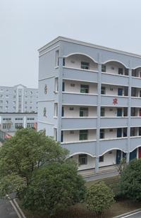 青云中学2019高考成绩,安源学校中考喜报