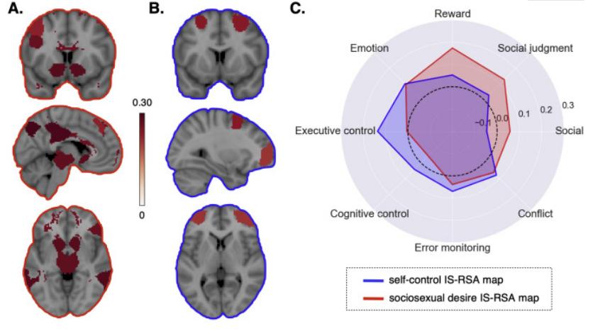 neuroimage意思,mentalimages什么意思