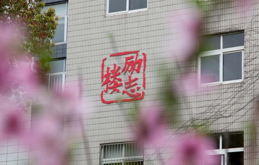 名校力量|这所游小联盟校有两把“宝剑”！未来可期