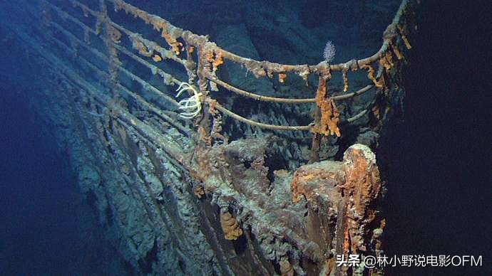 小李子泰坦尼克号多少片酬,小李子泰坦尼克号片酬