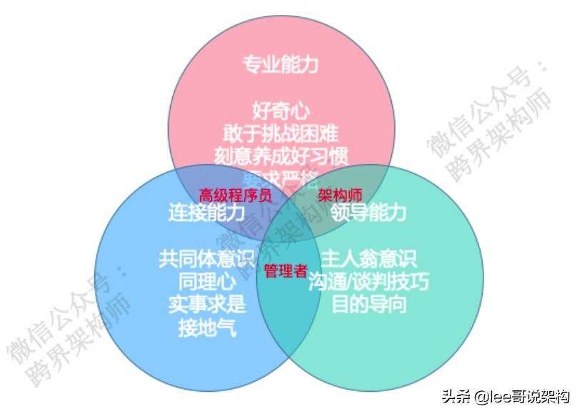 高级程序员与低级程序员区别,初级程序员和高级程序员