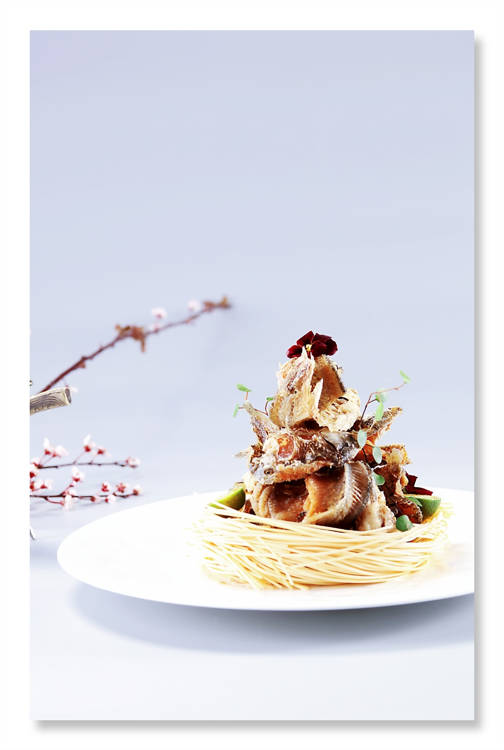 青盐甲鱼是苏州唐静涵家法