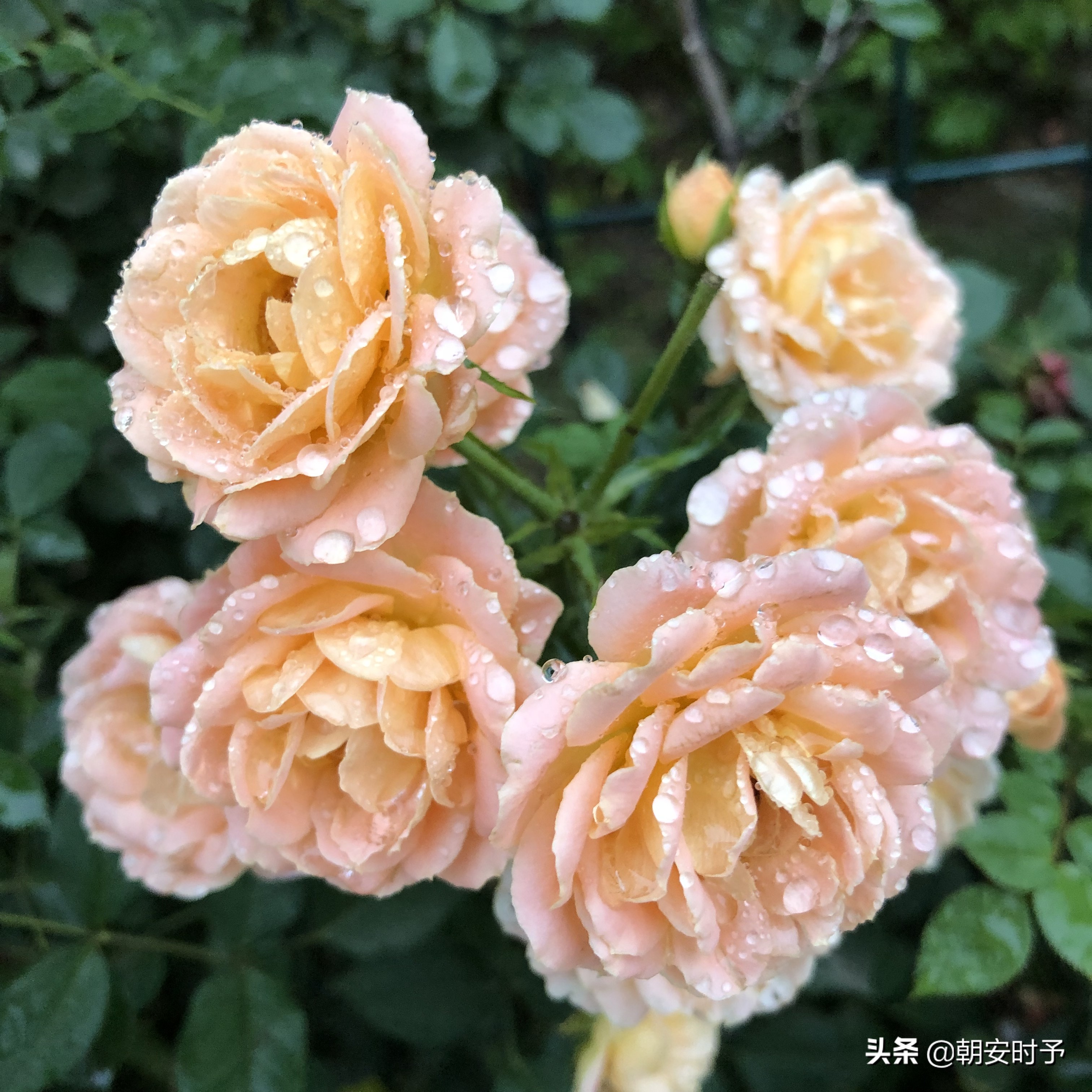 疫情中的武汉美景,大好河山武汉市