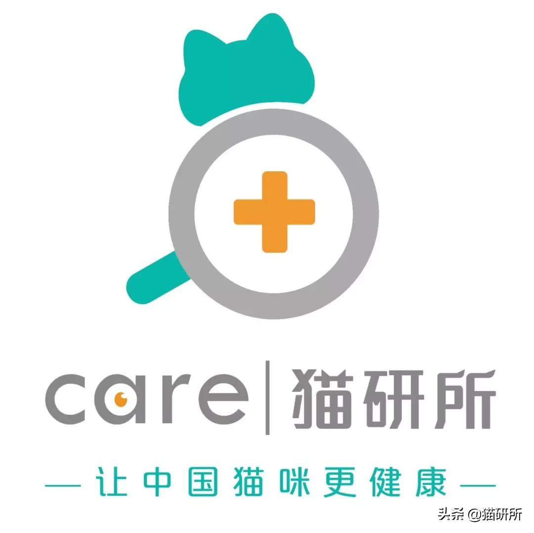 猫咪也会长“鸡眼”？肉垫上的角质增生需要切除吗？