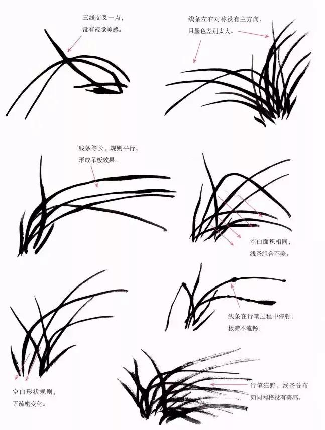 兰花绘画技法教程视频,泰国兰花绘画技法