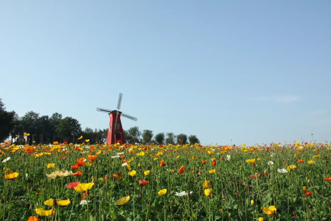 推介乡村旅游精品线路,2020年全国精品乡村旅游路线