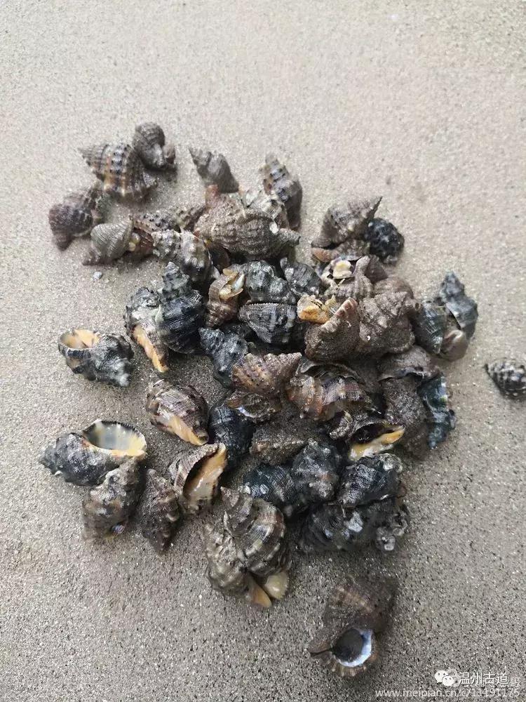 洞头岛海边风景,洞头大门岛海滨栈道