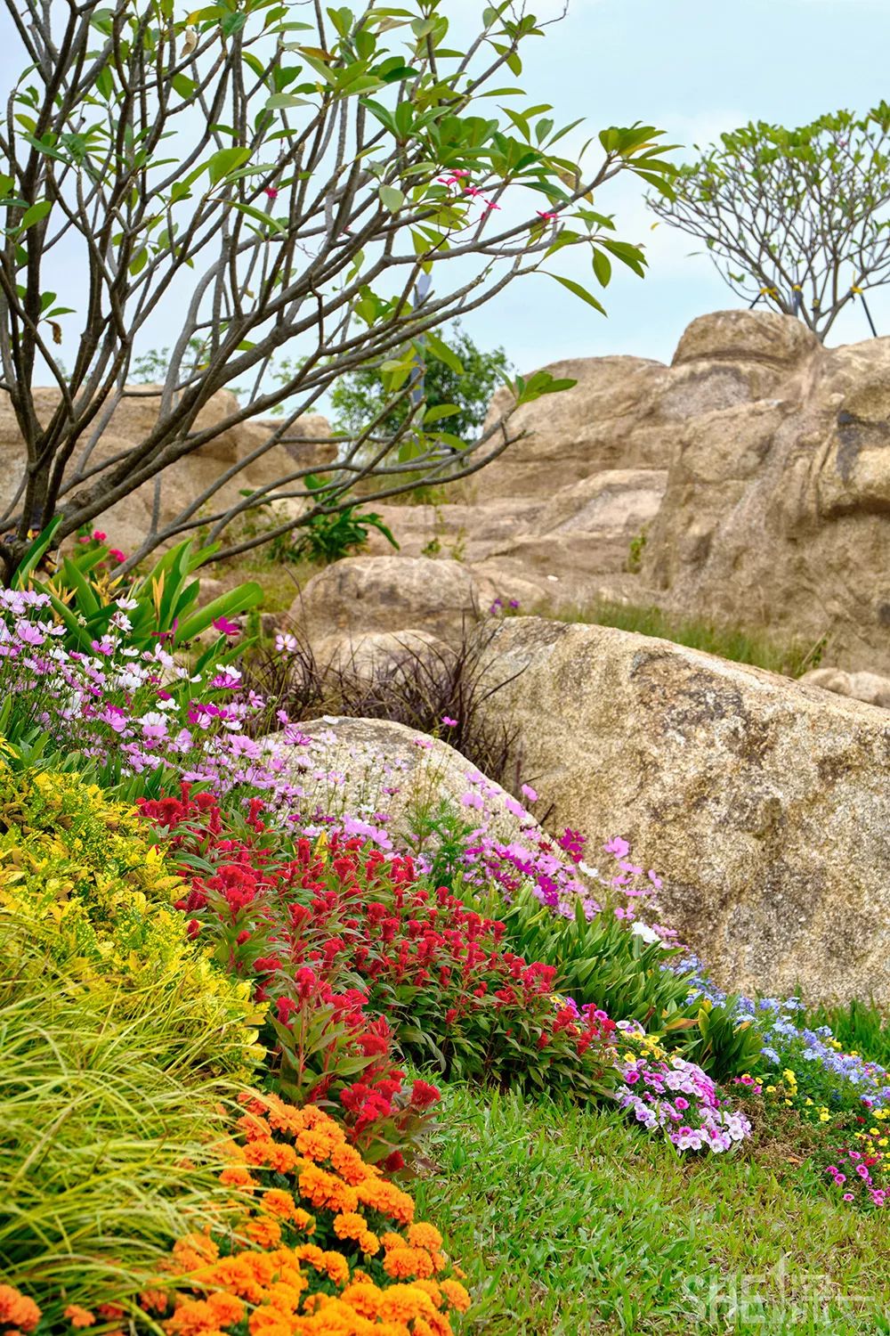 深圳网红公园地铁站,深圳地铁最近有什么公园