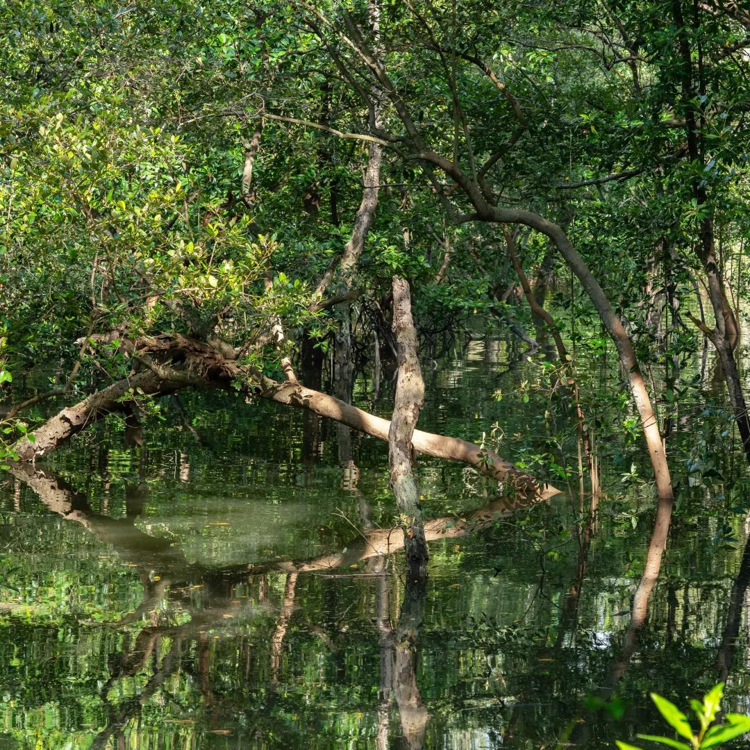 新加坡国家发展理念,新加坡国家愿景