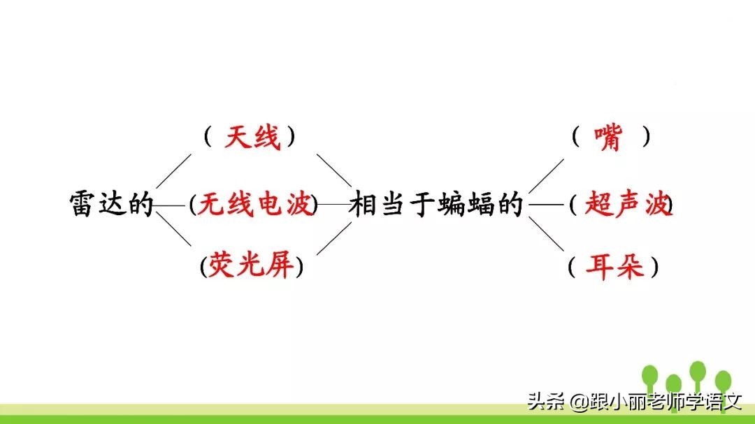语文思维导图四年级上蝙蝠和雷达,人教版四年级上册蝙蝠和雷达朗读