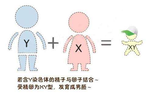 你听过“前壁生男、后壁生女”吗？专家：虽是迷信但位置很重要