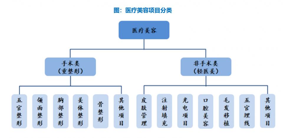 伊美尔医美销售收入,医美巨头伊美尔赴港上市