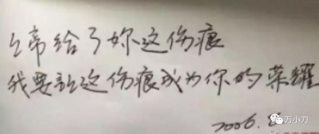 娱乐圈八爪鱼身份,娱乐圈的八爪鱼