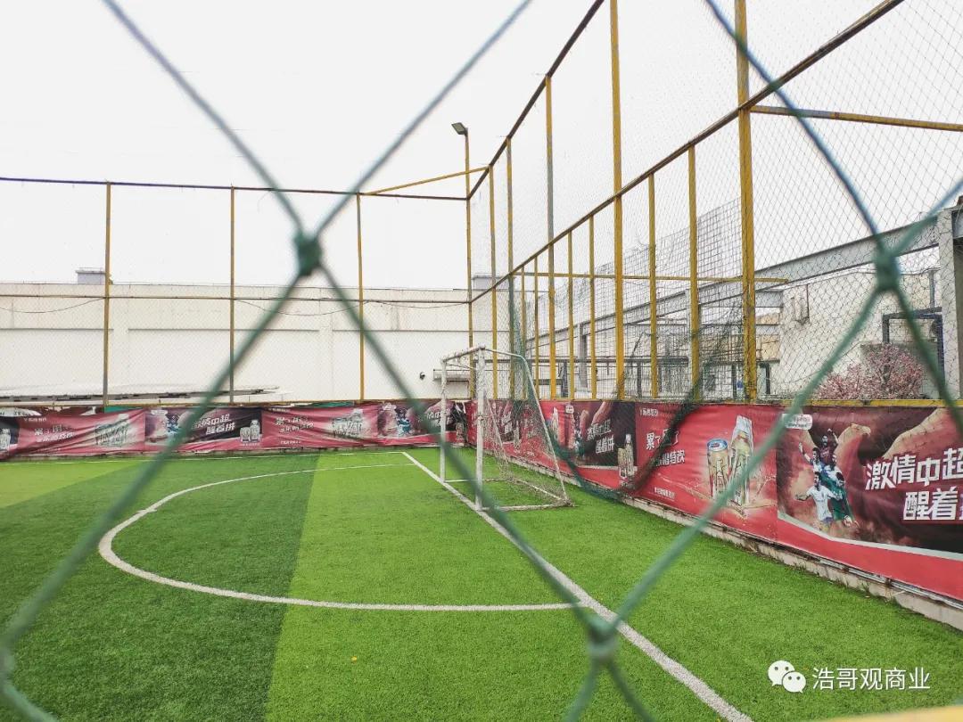 武汉屋顶绿地,武汉塔子湖足球场