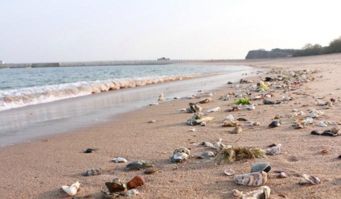 大连看海的最佳地方,大连看海攻略全新出炉