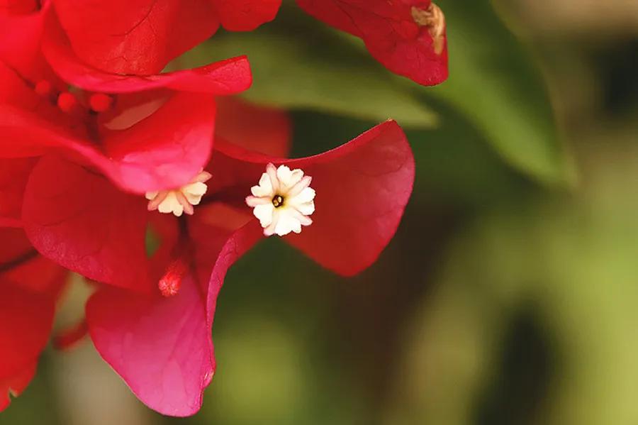 一次把寒气说清楚短句,把寒气传递给每个人的体会