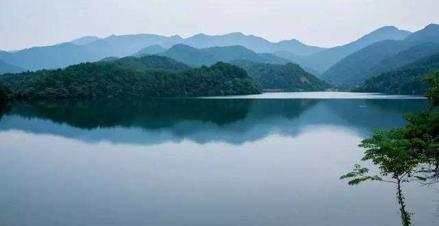 捉妖故事：整村人得怪病都在夜里被偷吻过追查发现古怪人参精