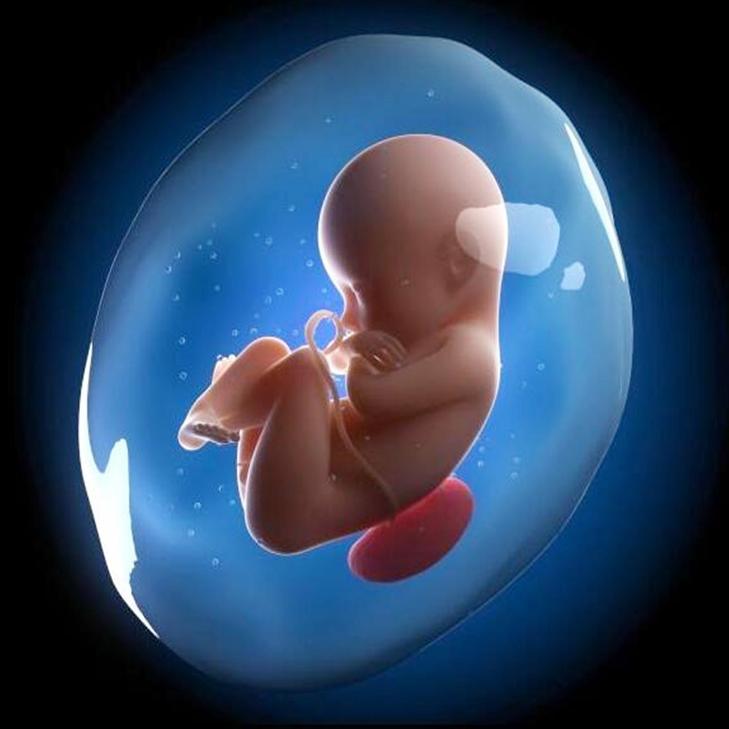 怀孕之后的大姨妈去哪了,女人怀孕后来大姨妈