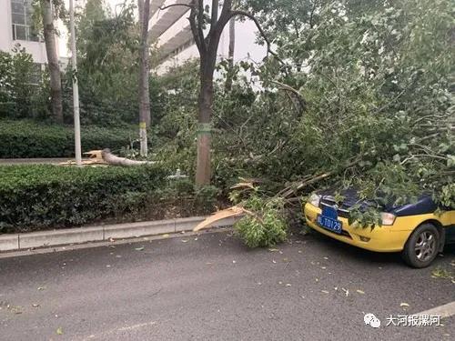 树倒墙塌人被困…漯河突发多起事故，交警城管紧急出动