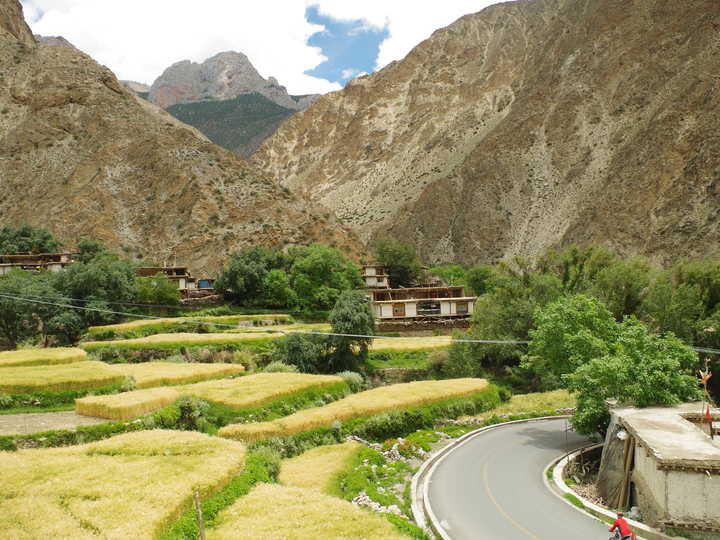 王小花的全部作品,王小花攻略