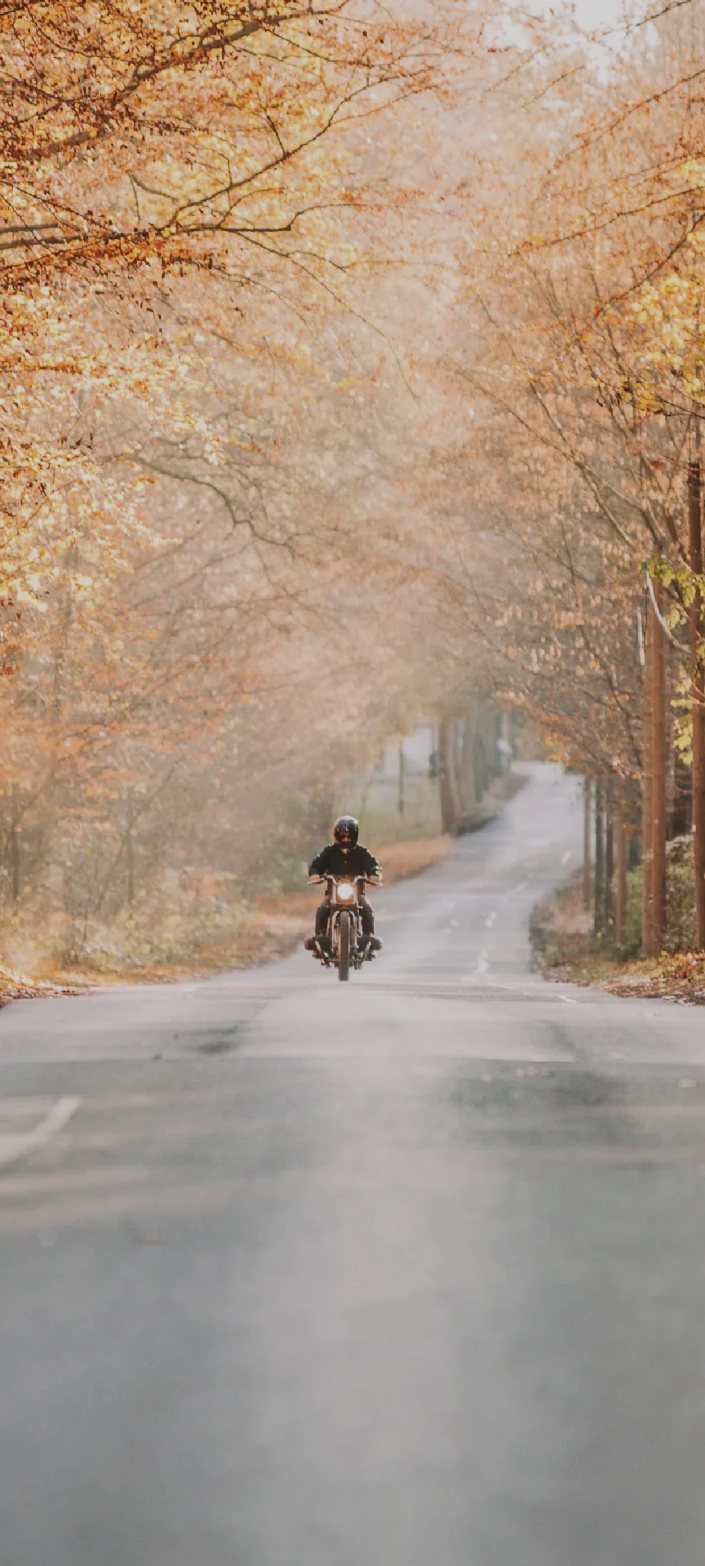 适合当手机壁纸的好看的风景照,精选10张好看的风景手机壁纸