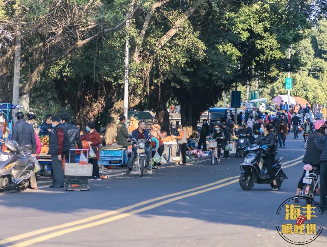 海丰一条母亲河在哪里,一条母亲河