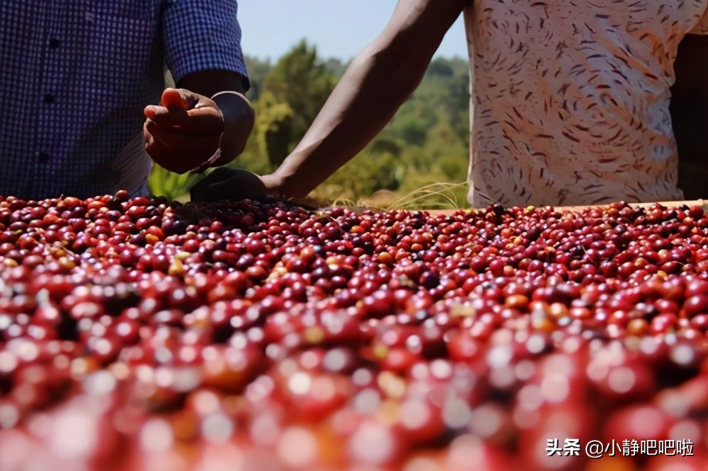 你不知道的国家冷知识——“黑人中的白人”埃塞俄比亚