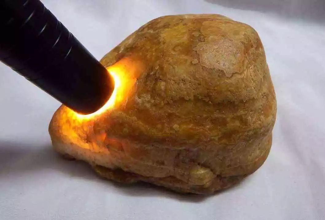 埃及法老木乃伊屎壳郎,古埃及屎壳郎