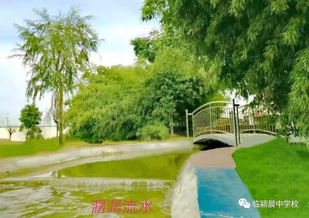 临颍第一所公立寄宿制学校,临颍县城中小学