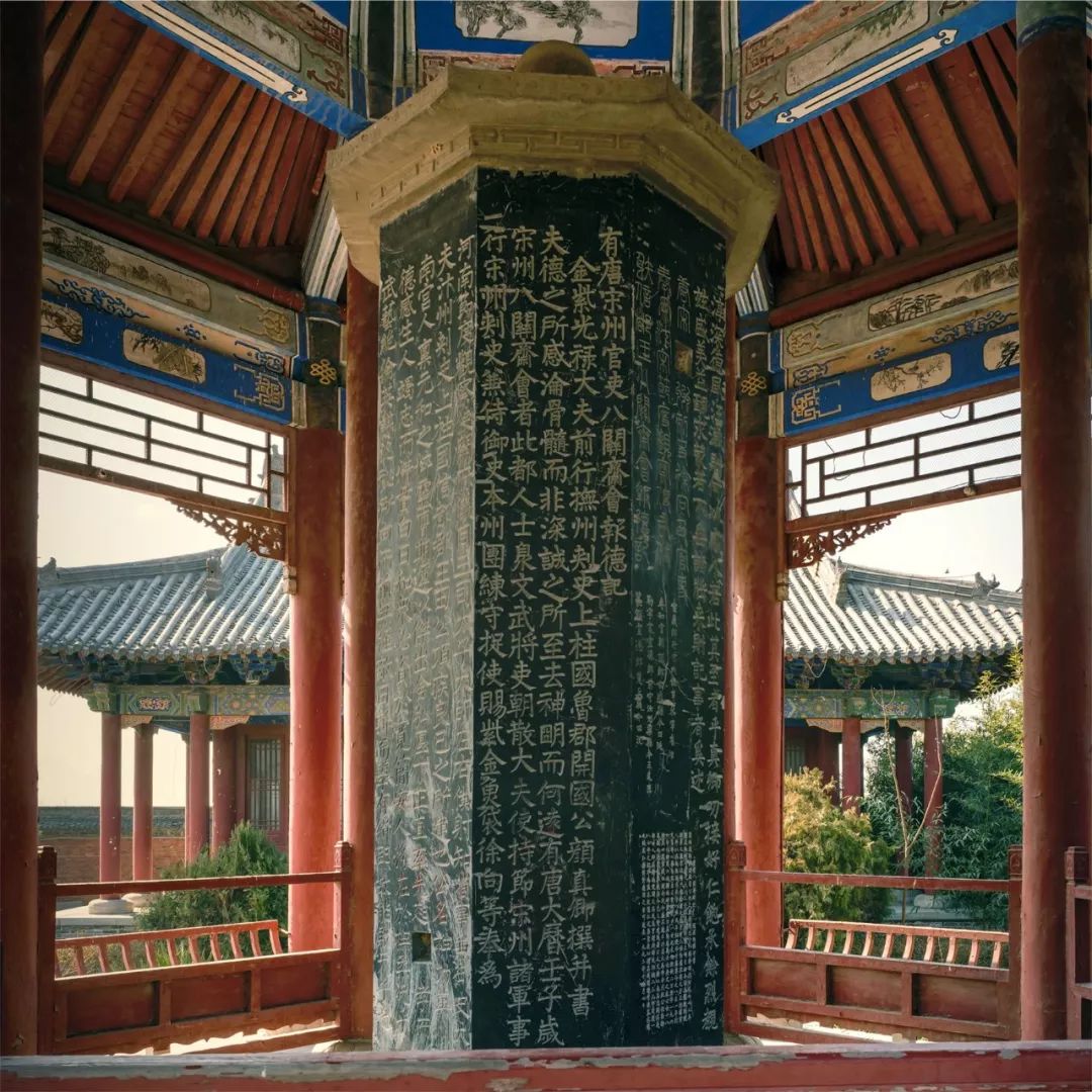 商丘市合集,商丘浓缩沙棘汁是什么