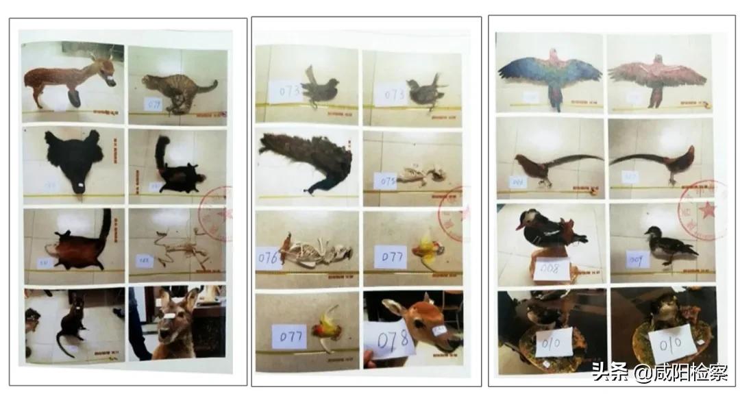 2018年最高人民检察院1号检察建议,人民检察院检察建议规则解读